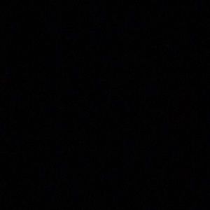 Meet your Posher, Syl